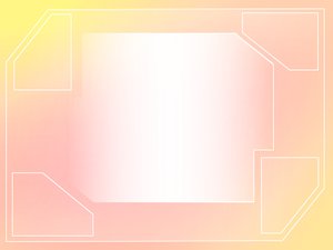 批发渠道
